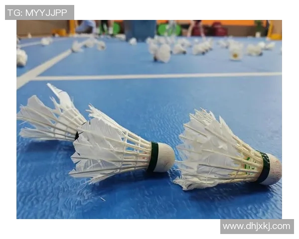 运动数据刘静独家揭秘羽毛球技巧与心得分享助你提升球技的秘密之道