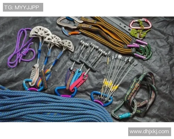 运动数据李娜极限运动人生的深度对话与心路历程探索